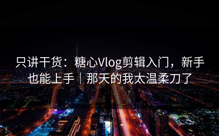 只讲干货：糖心Vlog剪辑入门，新手也能上手｜那天的我太温柔刀了