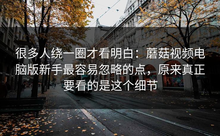 很多人绕一圈才看明白：蘑菇视频电脑版新手最容易忽略的点，原来真正要看的是这个细节