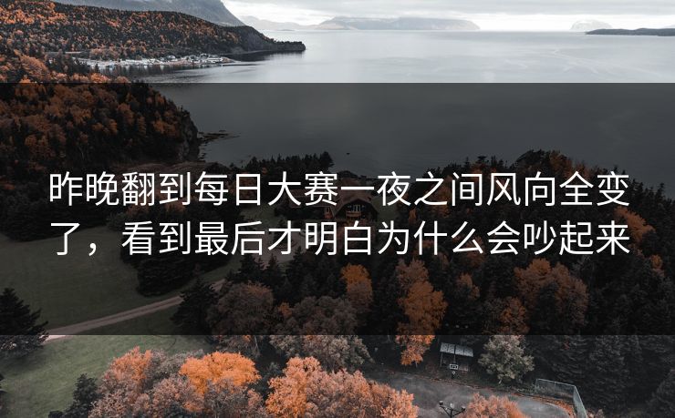 昨晚翻到每日大赛一夜之间风向全变了，看到最后才明白为什么会吵起来