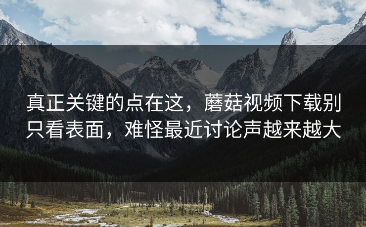 真正关键的点在这，蘑菇视频下载别只看表面，难怪最近讨论声越来越大