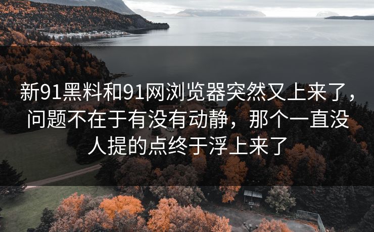 新91黑料和91网浏览器突然又上来了，问题不在于有没有动静，那个一直没人提的点终于浮上来了