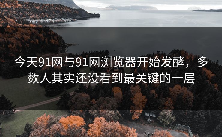 今天91网与91网浏览器开始发酵，多数人其实还没看到最关键的一层