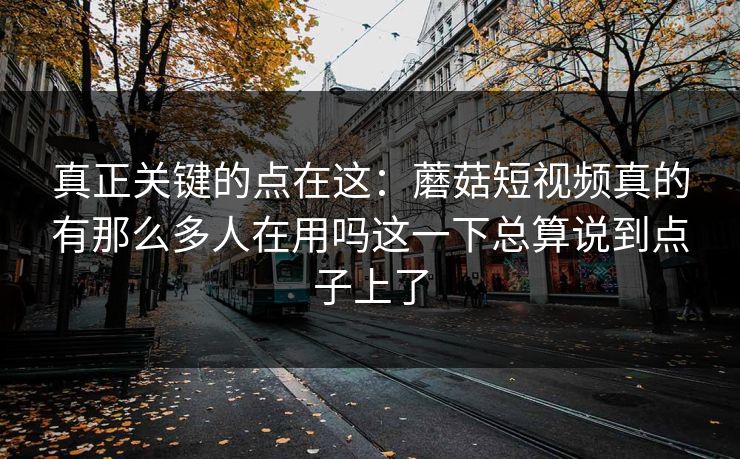 真正关键的点在这：蘑菇短视频真的有那么多人在用吗这一下总算说到点子上了