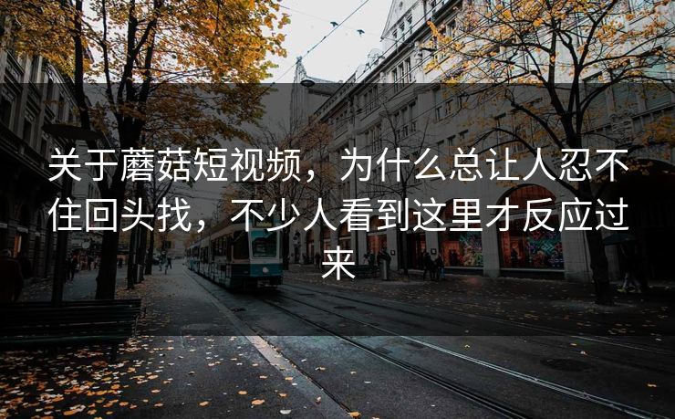 关于蘑菇短视频，为什么总让人忍不住回头找，不少人看到这里才反应过来