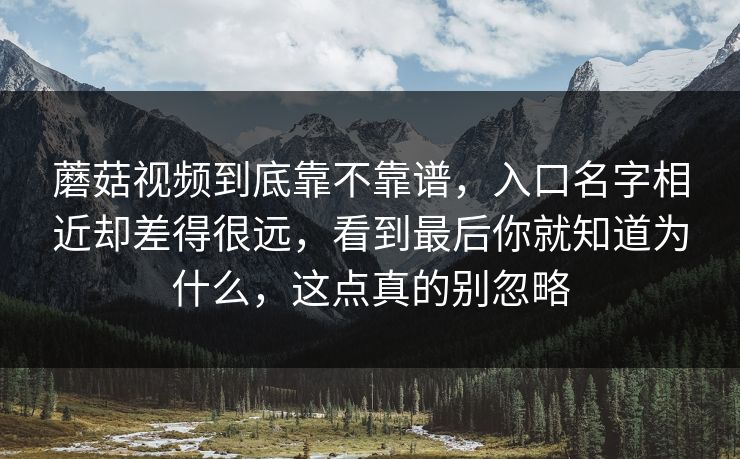 蘑菇视频到底靠不靠谱，入口名字相近却差得很远，看到最后你就知道为什么，这点真的别忽略