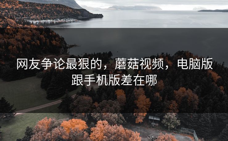 网友争论最狠的，蘑菇视频，电脑版跟手机版差在哪