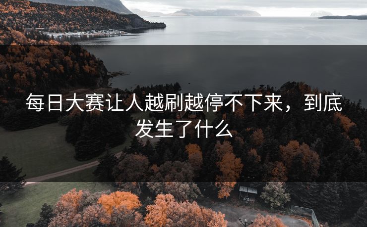 每日大赛让人越刷越停不下来，到底发生了什么